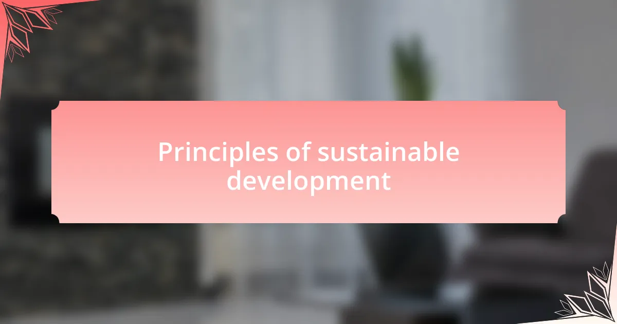 Principles of sustainable development